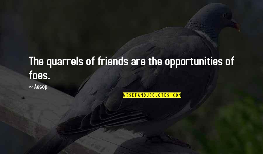 Mullerova Villa Quotes By Aesop: The quarrels of friends are the opportunities of