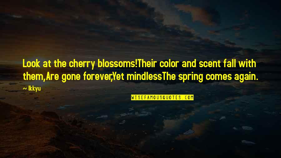 Multi Screens With Mac Quotes By Ikkyu: Look at the cherry blossoms!Their color and scent Multi Screens With Mac Quotes By Ikkyu: Look at the cherry blossoms!Their color and scent