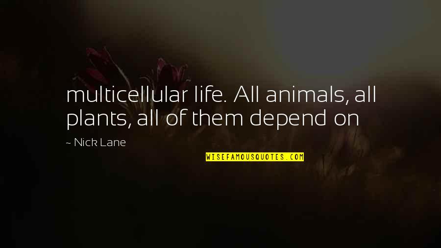 Multicellular Quotes By Nick Lane: multicellular life. All animals, all plants, all of