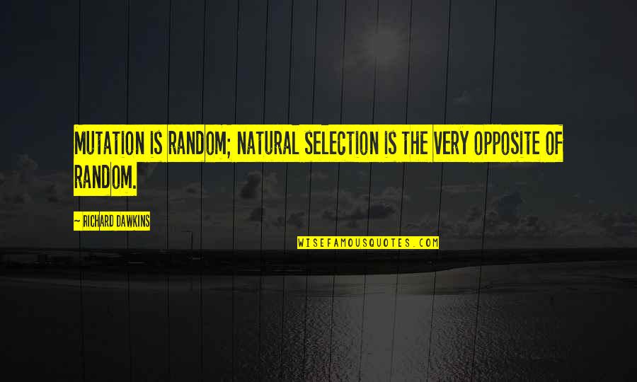 Multicoloured Rugs Quotes By Richard Dawkins: Mutation is random; natural selection is the very Multicoloured Rugs Quotes By Richard Dawkins: Mutation is random; natural selection is the very