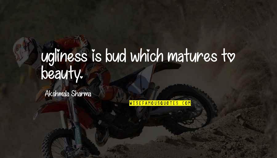 Multimedia In Education Quotes By Akshmala Sharma: ugliness is bud which matures to beauty.