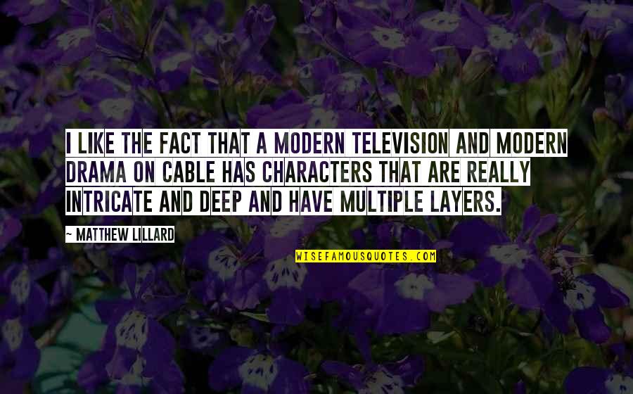 Multiple Layers Quotes By Matthew Lillard: I like the fact that a modern television