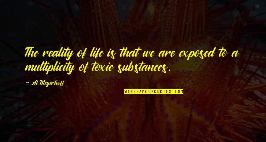 Multiplicity Quotes By Al Meyerhoff: The reality of life is that we are