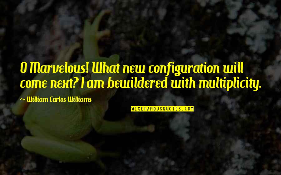 Multiplicity Quotes By William Carlos Williams: O Marvelous! What new configuration will come next?