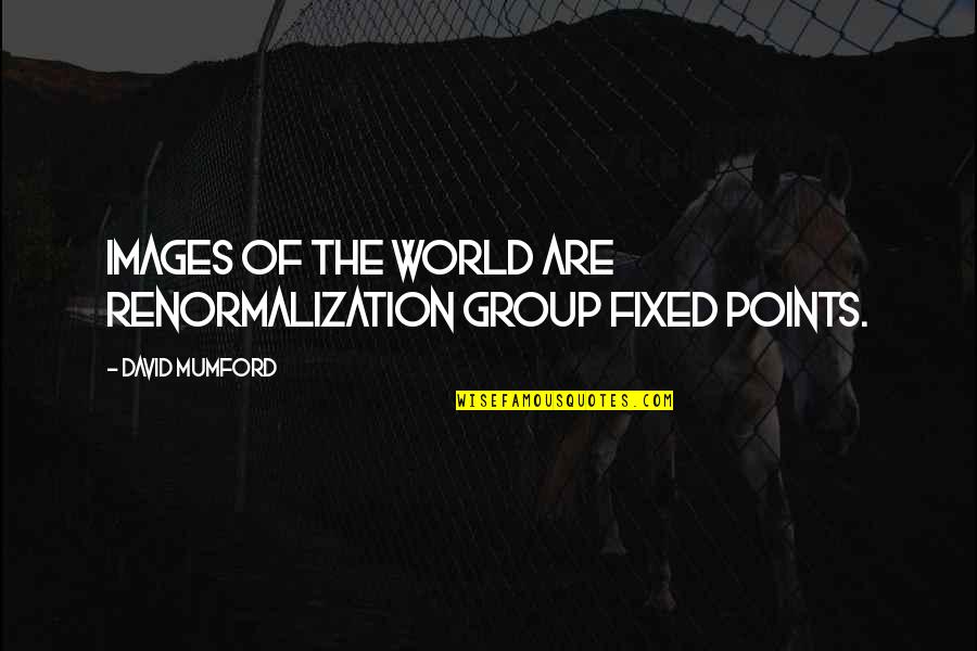 Mumford's Quotes By David Mumford: Images of the world are Renormalization Group fixed Mumford's Quotes By David Mumford: Images of the world are Renormalization Group fixed