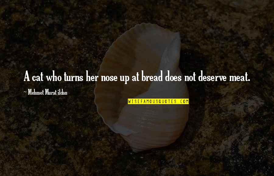 Mumintrollet Quotes By Mehmet Murat Ildan: A cat who turns her nose up at Mumintrollet Quotes By Mehmet Murat Ildan: A cat who turns her nose up at