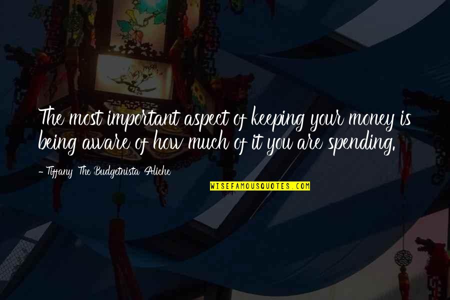 Mummery Quotes By Tiffany 'The Budgetnista' Aliche: The most important aspect of keeping your money