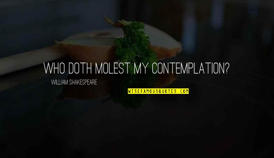 Munay Quotes By William Shakespeare: Who doth molest my contemplation?