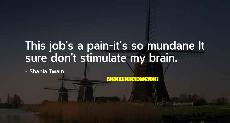 Mundane Quotes By Shania Twain: This job's a pain-it's so mundane It sure