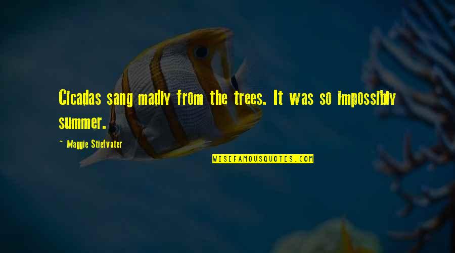 Munditiis Quotes By Maggie Stiefvater: Cicadas sang madly from the trees. It was Munditiis Quotes By Maggie Stiefvater: Cicadas sang madly from the trees. It was
