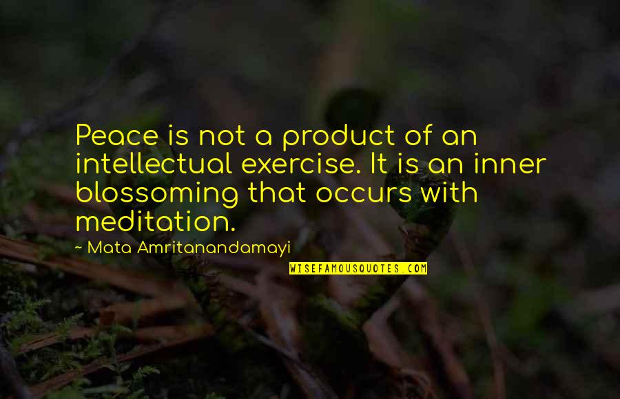 Munetaka Aoki Quotes By Mata Amritanandamayi: Peace is not a product of an intellectual