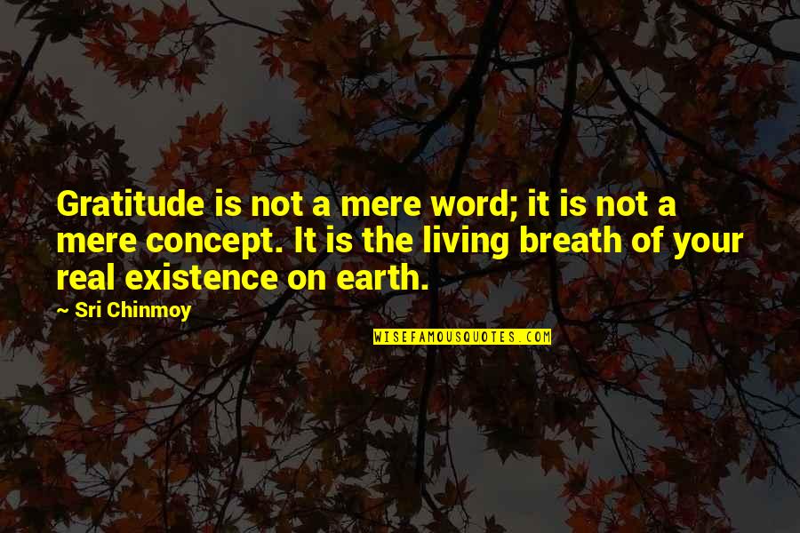 Munita Naidu Quotes By Sri Chinmoy: Gratitude is not a mere word; it is Munita Naidu Quotes By Sri Chinmoy: Gratitude is not a mere word; it is