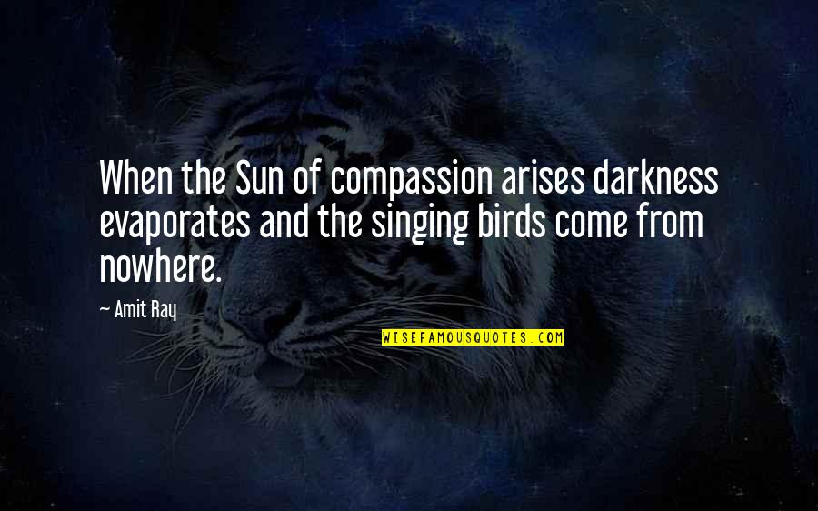 Munitech Quotes By Amit Ray: When the Sun of compassion arises darkness evaporates Munitech Quotes By Amit Ray: When the Sun of compassion arises darkness evaporates