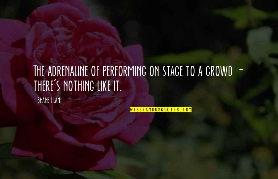 Munizzi Transmissions Quotes By Shane Filan: The adrenaline of performing on stage to a