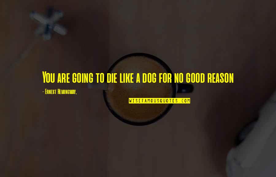 Munky Shaffer Quotes By Ernest Hemingway,: You are going to die like a dog