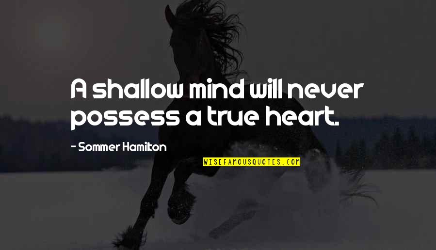 Munoz Auto Quotes By Sommer Hamilton: A shallow mind will never possess a true Munoz Auto Quotes By Sommer Hamilton: A shallow mind will never possess a true