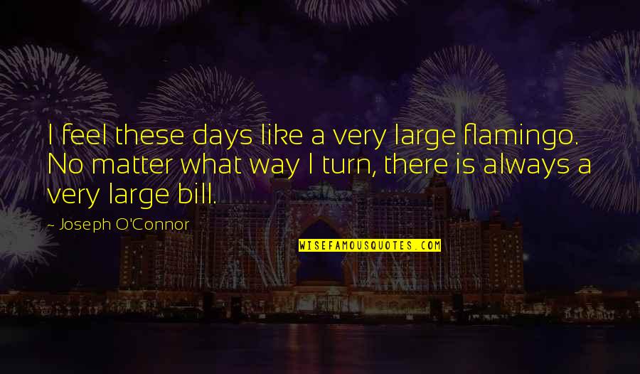 Murai Sake Quotes By Joseph O'Connor: I feel these days like a very large Murai Sake Quotes By Joseph O'Connor: I feel these days like a very large