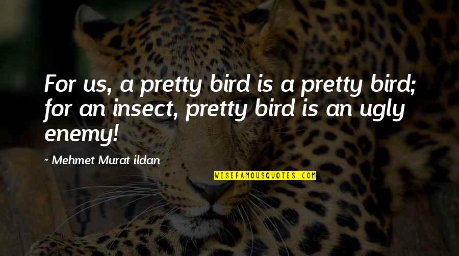 Murat Ildan Words Quotes By Mehmet Murat Ildan: For us, a pretty bird is a pretty Murat Ildan Words Quotes By Mehmet Murat Ildan: For us, a pretty bird is a pretty