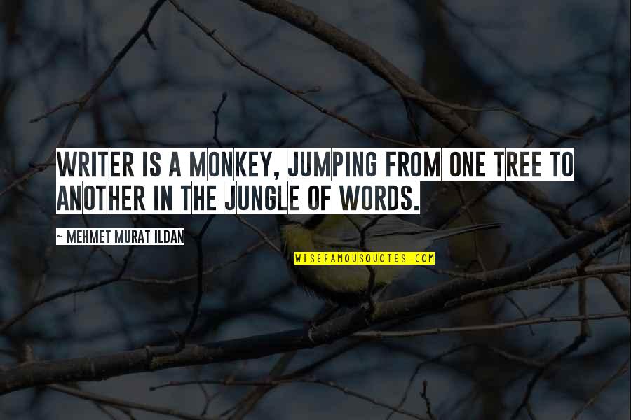 Murat Ildan Words Quotes By Mehmet Murat Ildan: Writer is a monkey, jumping from one tree Murat Ildan Words Quotes By Mehmet Murat Ildan: Writer is a monkey, jumping from one tree