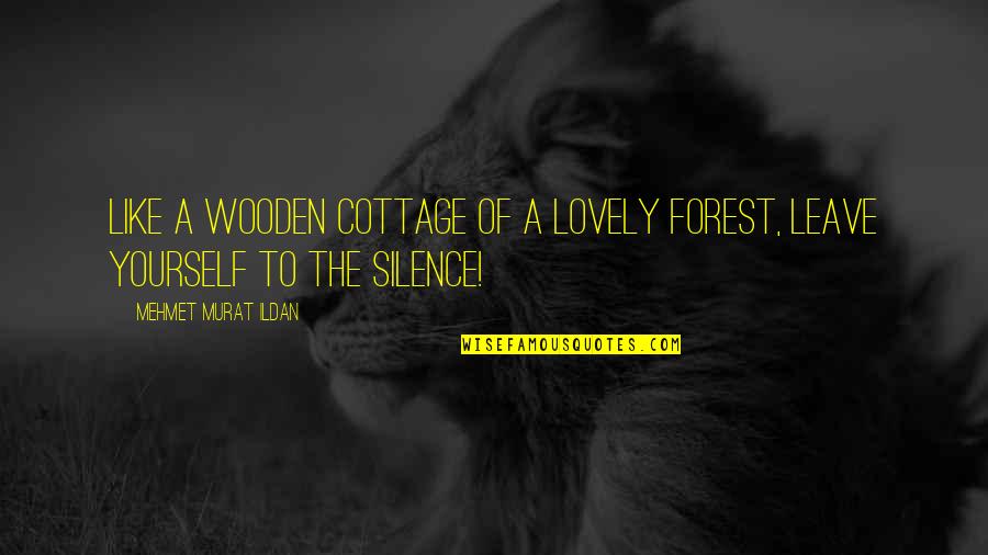 Murat Quotes By Mehmet Murat Ildan: Like a wooden cottage of a lovely forest,