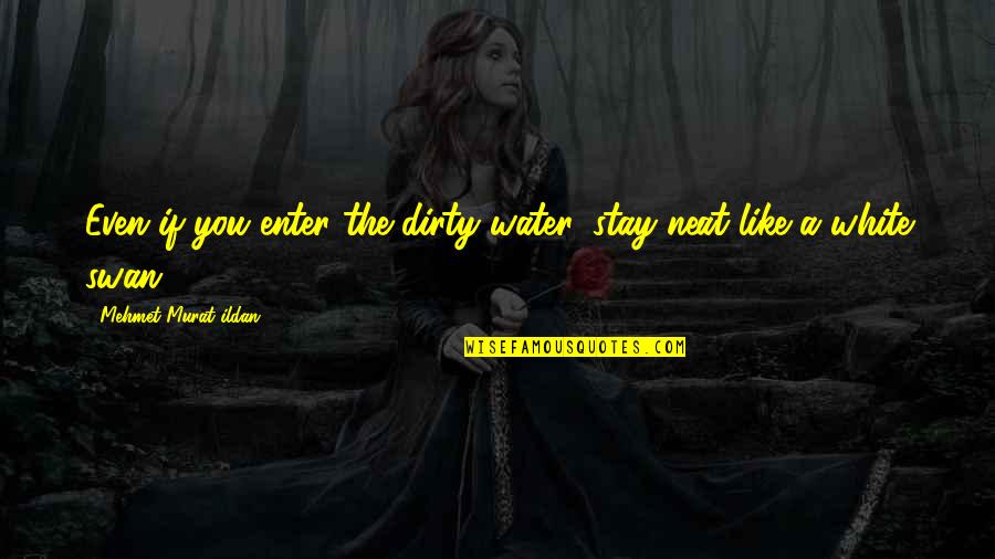Murat Quotes By Mehmet Murat Ildan: Even if you enter the dirty water, stay