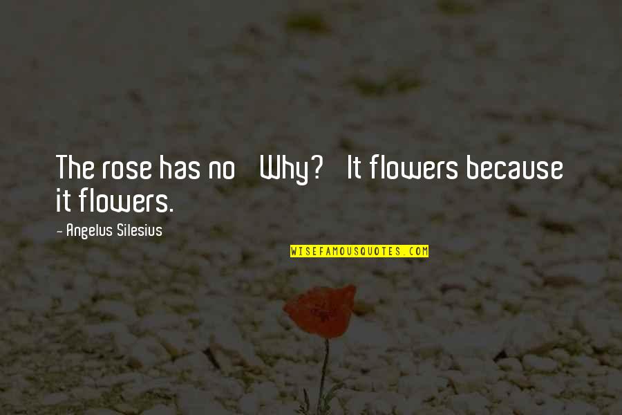 Murda Eh Quotes By Angelus Silesius: The rose has no 'Why?' It flowers because