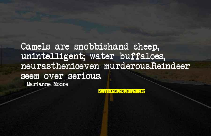 Murderous Quotes By Marianne Moore: Camels are snobbishand sheep, unintelligent; water buffaloes, neurastheniceven