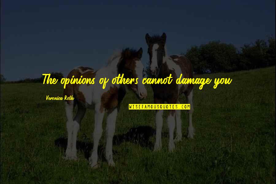 Muresan Aurora Quotes By Veronica Roth: The opinions of others cannot damage you.