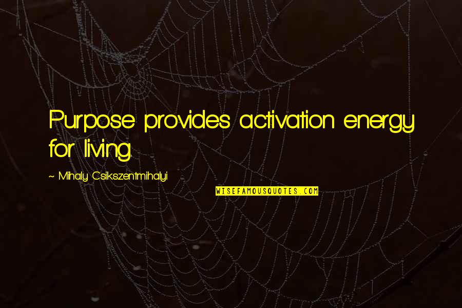 Murisa Harba Quotes By Mihaly Csikszentmihalyi: Purpose provides activation energy for living.