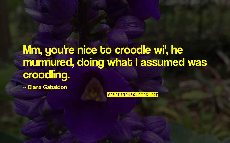 Murmured Quotes By Diana Gabaldon: Mm, you're nice to croodle wi', he murmured,