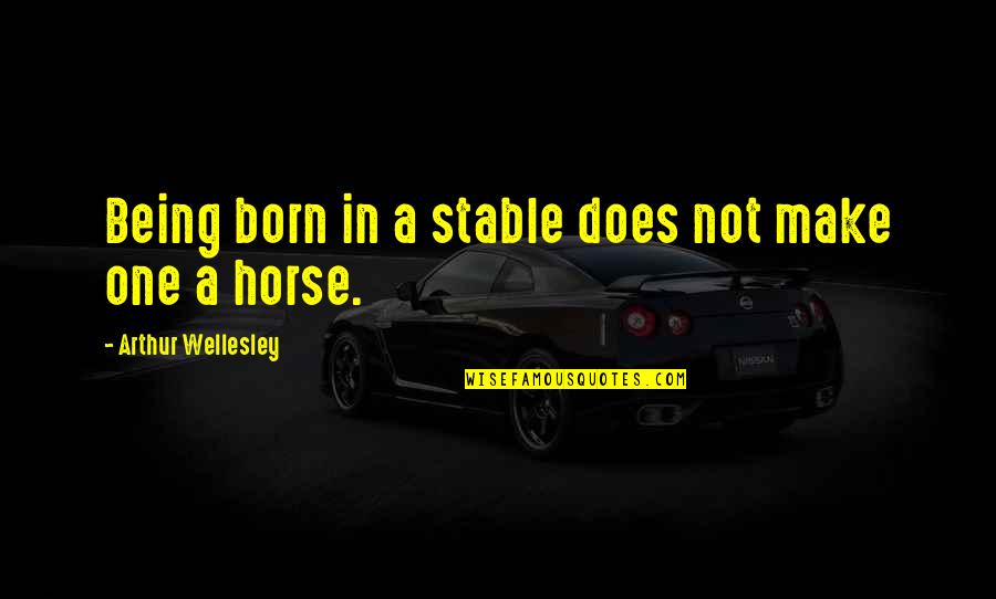 Murray Monkey Island Quotes By Arthur Wellesley: Being born in a stable does not make