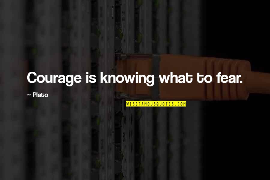 Murrays Bagels Quotes By Plato: Courage is knowing what to fear.