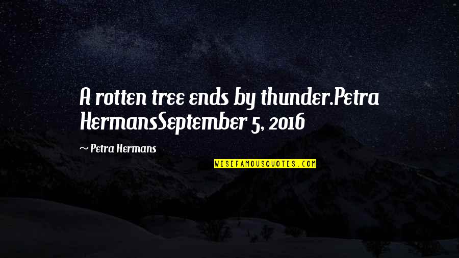 Murungi Wilfred Quotes By Petra Hermans: A rotten tree ends by thunder.Petra HermansSeptember 5,