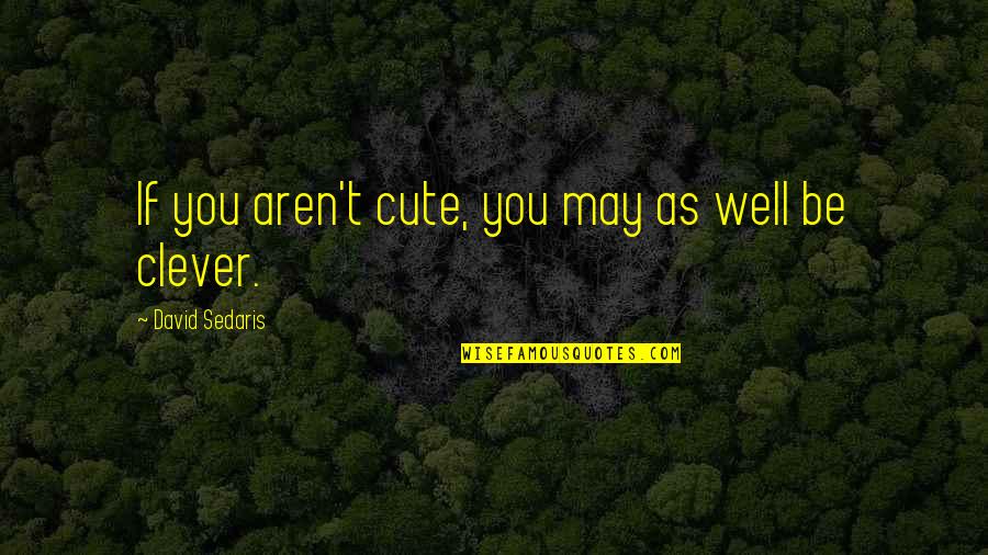 Musaliar Quotes By David Sedaris: If you aren't cute, you may as well Musaliar Quotes By David Sedaris: If you aren't cute, you may as well