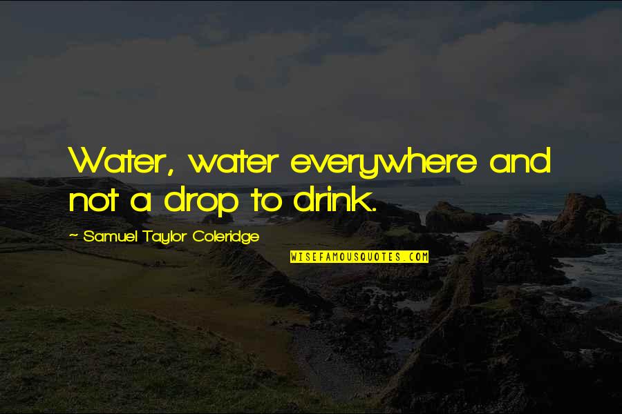 Muschamp Salary Quotes By Samuel Taylor Coleridge: Water, water everywhere and not a drop to Muschamp Salary Quotes By Samuel Taylor Coleridge: Water, water everywhere and not a drop to