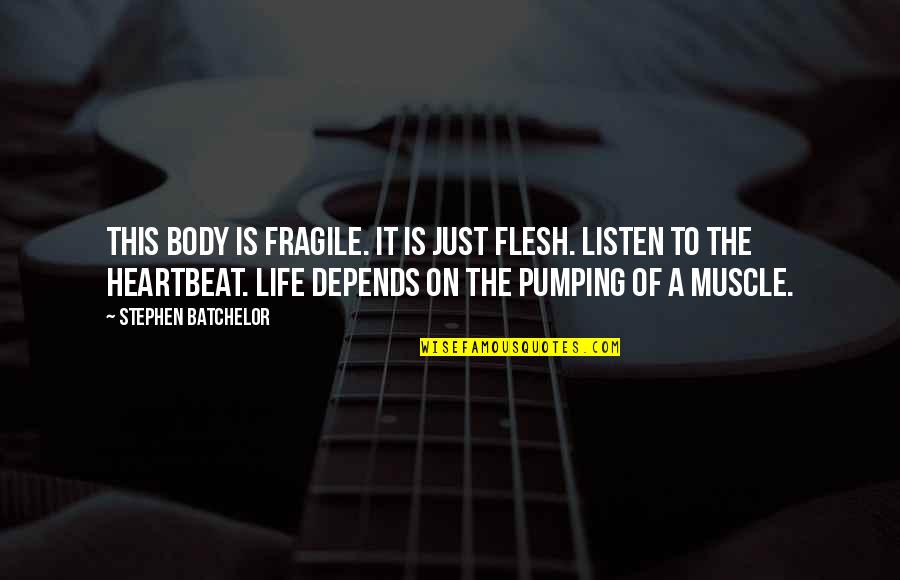 Muscle Quotes By Stephen Batchelor: This body is fragile. It is just flesh.