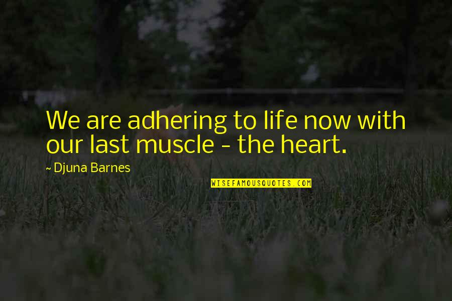Muscle To Quotes By Djuna Barnes: We are adhering to life now with our
