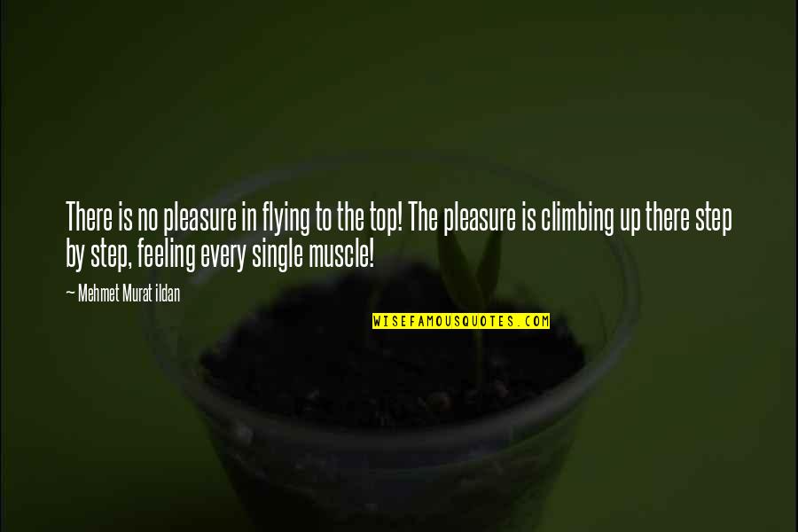 Muscle To Quotes By Mehmet Murat Ildan: There is no pleasure in flying to the