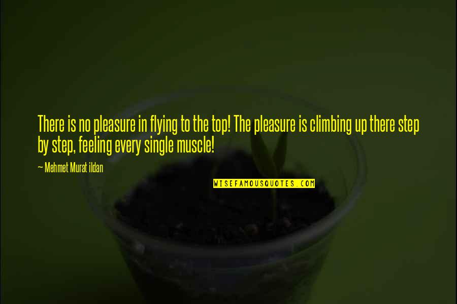 Muscle Top Quotes By Mehmet Murat Ildan: There is no pleasure in flying to the
