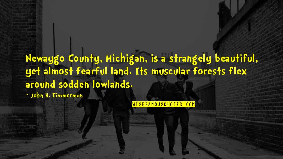 Muscular Quotes By John H. Timmerman: Newaygo County, Michigan, is a strangely beautiful, yet