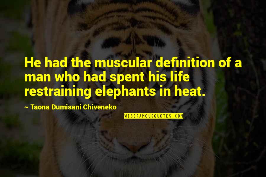 Muscular Quotes By Taona Dumisani Chiveneko: He had the muscular definition of a man