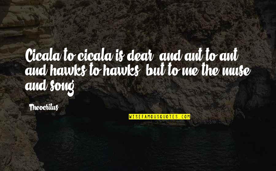 Muse Song Quotes By Theocritus: Cicala to cicala is dear, and ant to