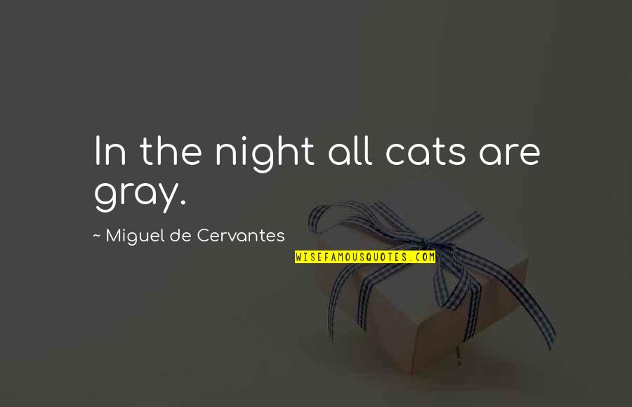 Mushakoji Saneatsu Quotes By Miguel De Cervantes: In the night all cats are gray. Mushakoji Saneatsu Quotes By Miguel De Cervantes: In the night all cats are gray.