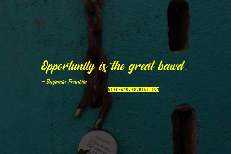 Mushonga Wemusana Quotes By Benjamin Franklin: Opportunity is the great bawd.