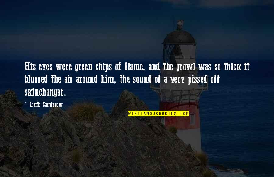 Mushongo Gospel Quotes By Lilith Saintcrow: His eyes were green chips of flame, and