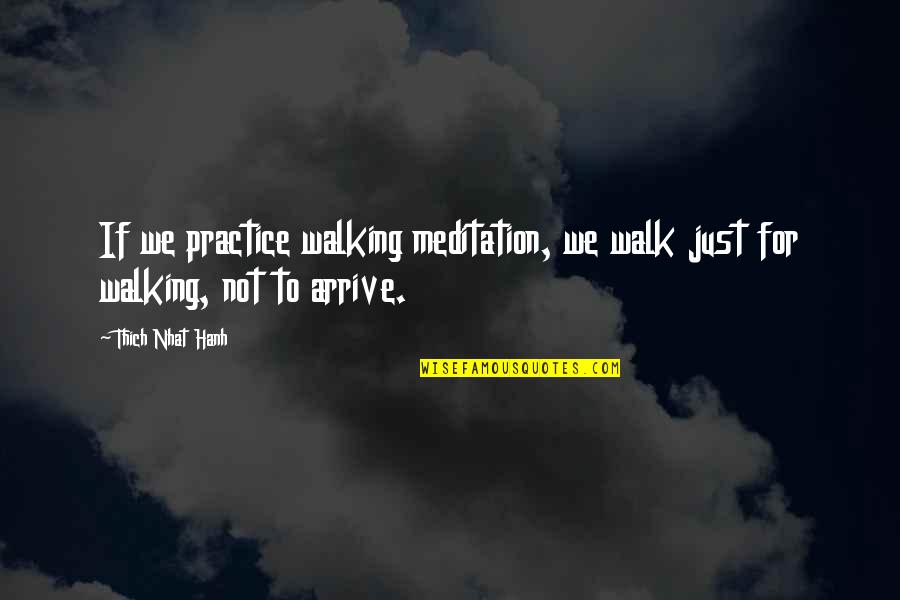 Music And Academics Quotes By Thich Nhat Hanh: If we practice walking meditation, we walk just