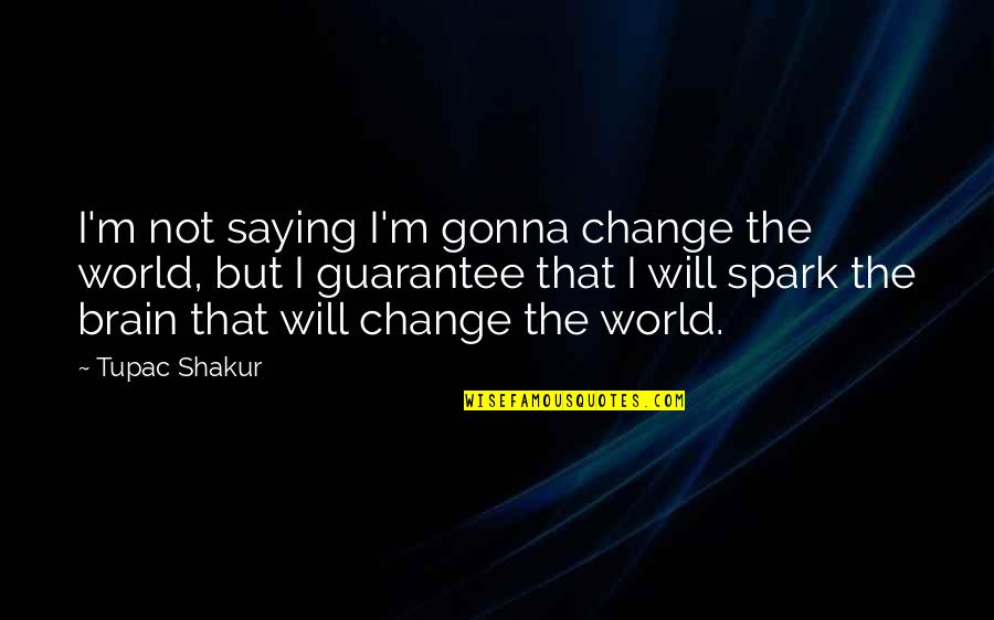 Music And Brain Quotes By Tupac Shakur: I'm not saying I'm gonna change the world,