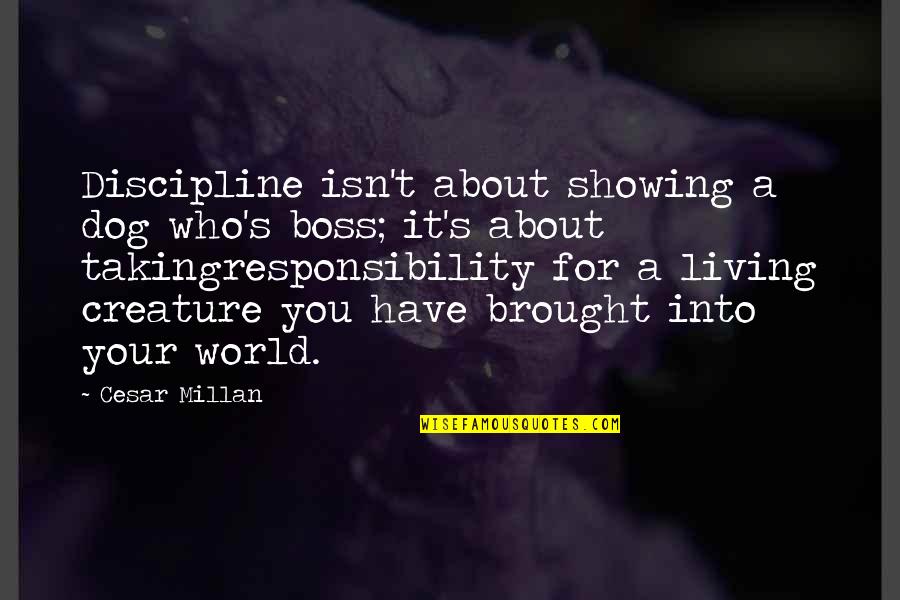 Music And Dementia Quotes By Cesar Millan: Discipline isn't about showing a dog who's boss;