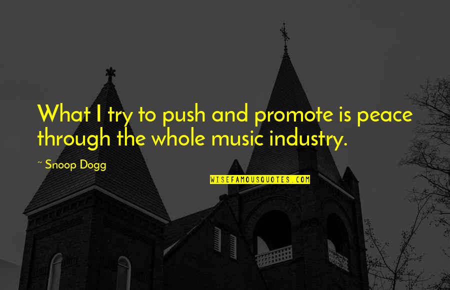 Music And Peace Quotes By Snoop Dogg: What I try to push and promote is