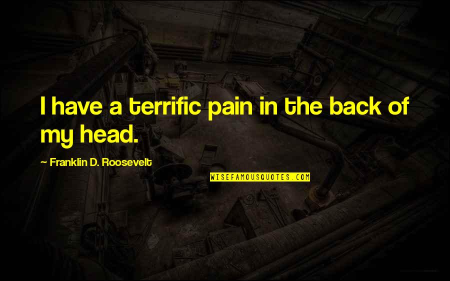 Music And Sleep Quotes By Franklin D. Roosevelt: I have a terrific pain in the back